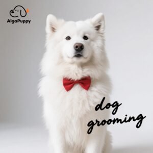 dog grooming