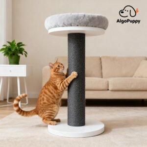 Cat Scratching Post