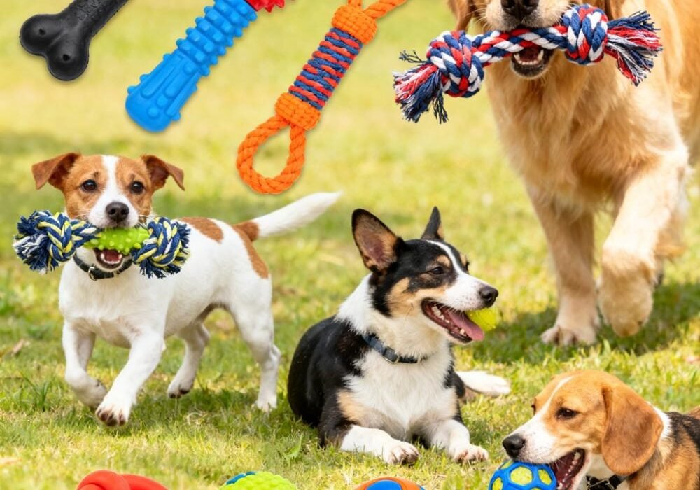 Chew Toys for Dogs