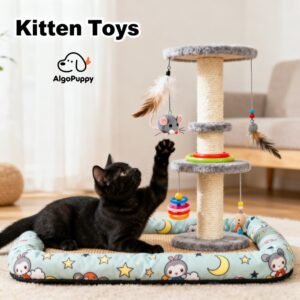 Kitten Toys