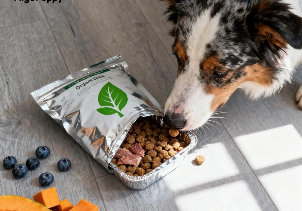Organic Pet Food