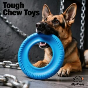 best dog toys for aggressive chewers
