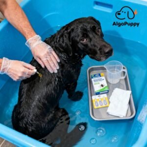 how to get rid of fleas on dogs