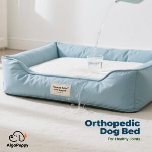 orthopedic dog bed