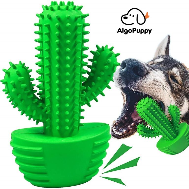 Dental Chew Toys