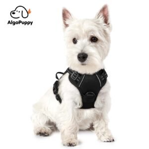 Dog Harness