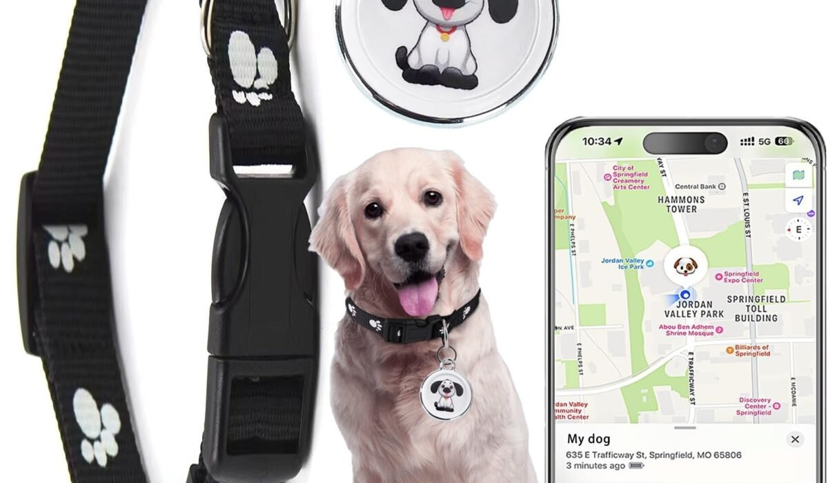 GPS pet tracker