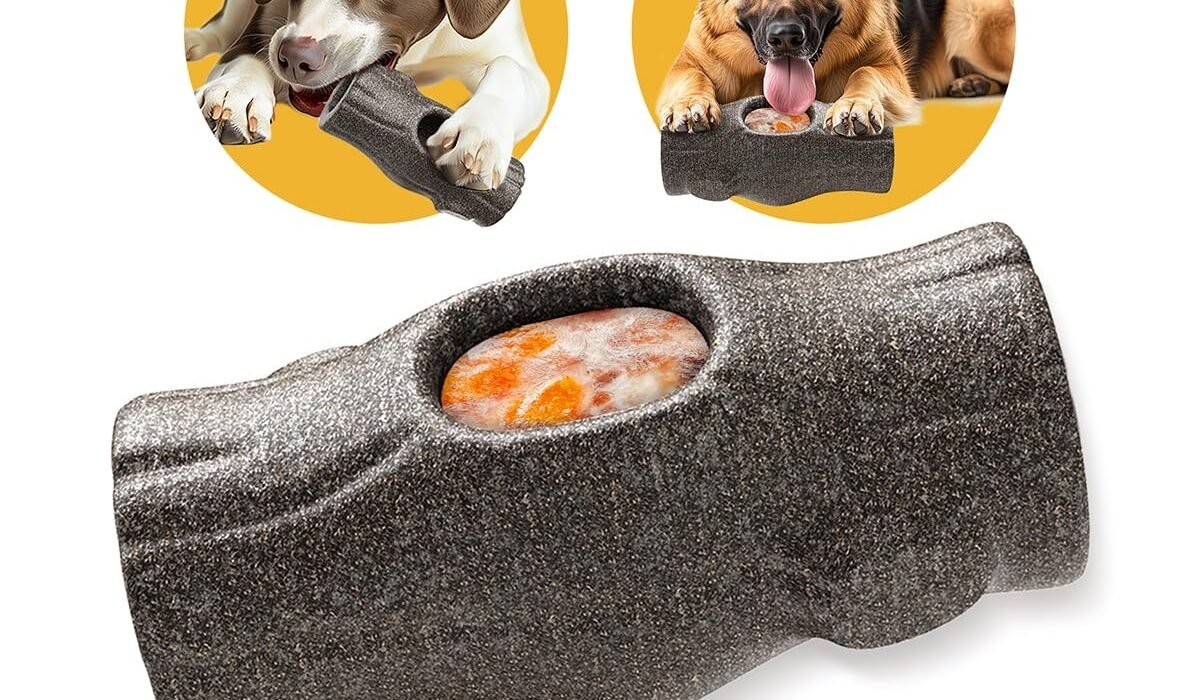 Indestructible Chew Toys