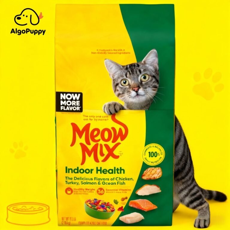 Indoor Cat Food