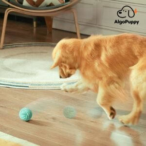 Interactive Dog Toys