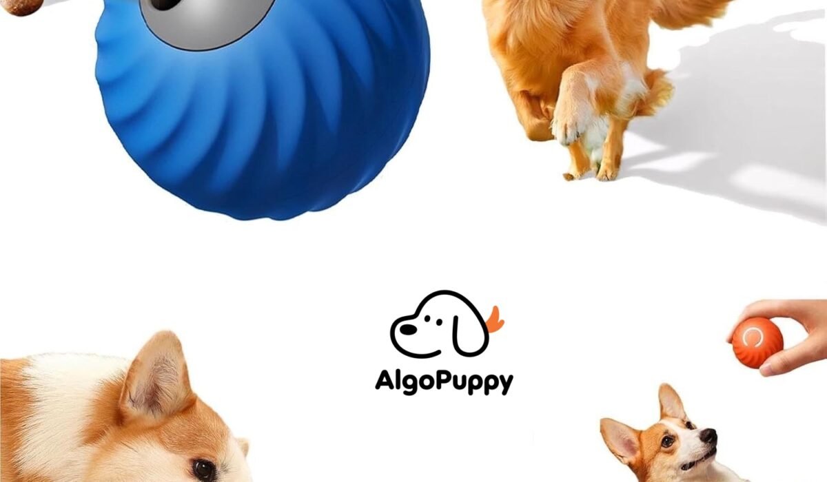 Interactive Pet Toys