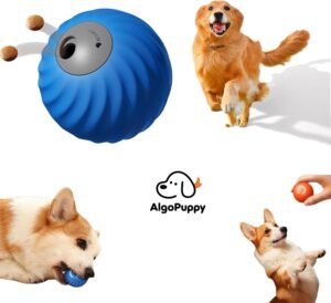 Interactive Pet Toys
