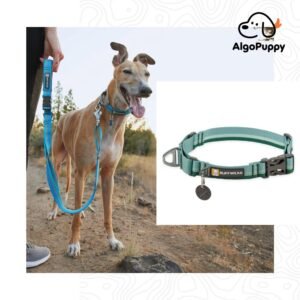 Martingale Collar