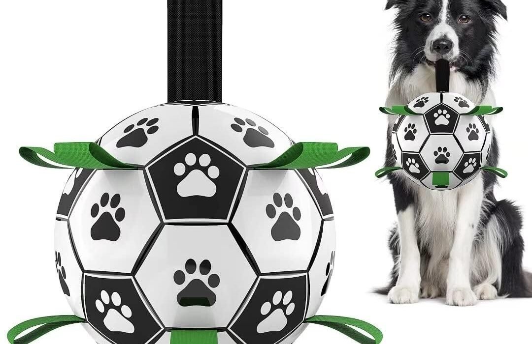 Outdoor Dog Toys