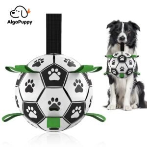 Outdoor Dog Toys