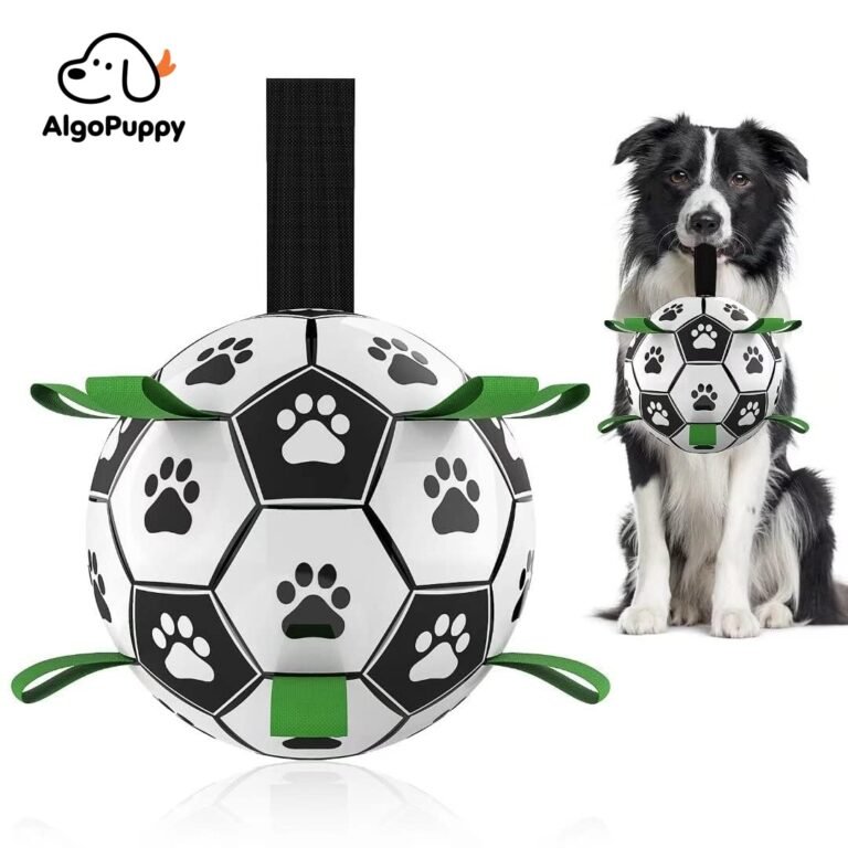 Outdoor Dog Toys