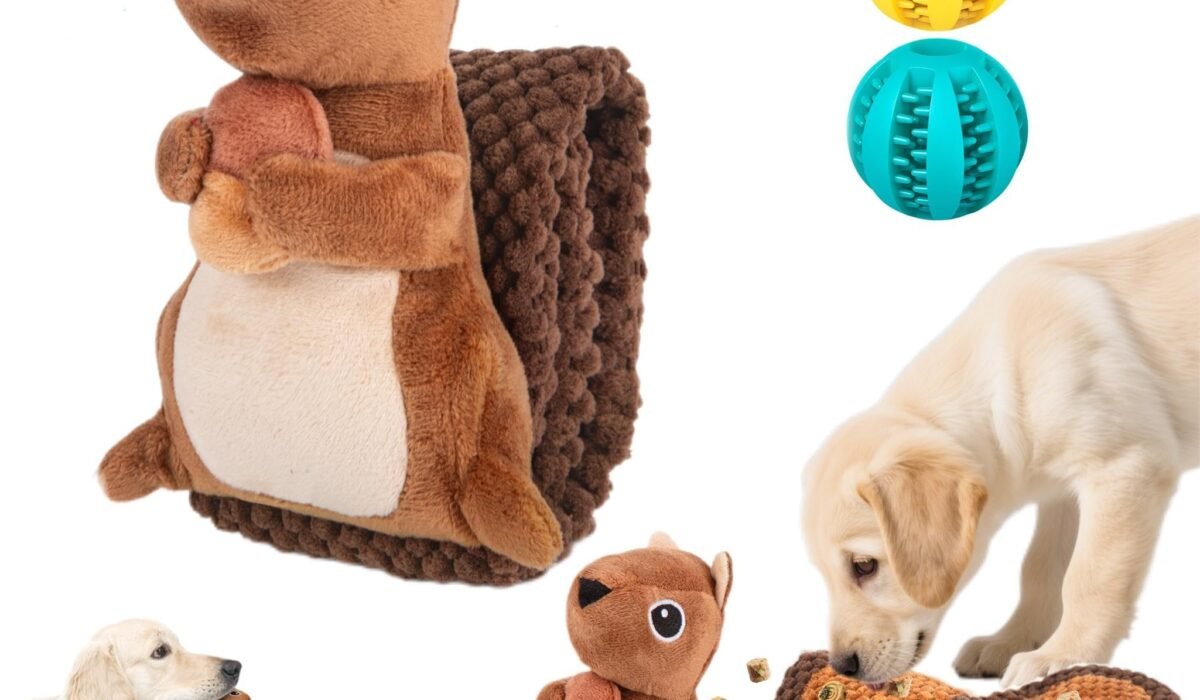 Puzzle Toys for Dogs