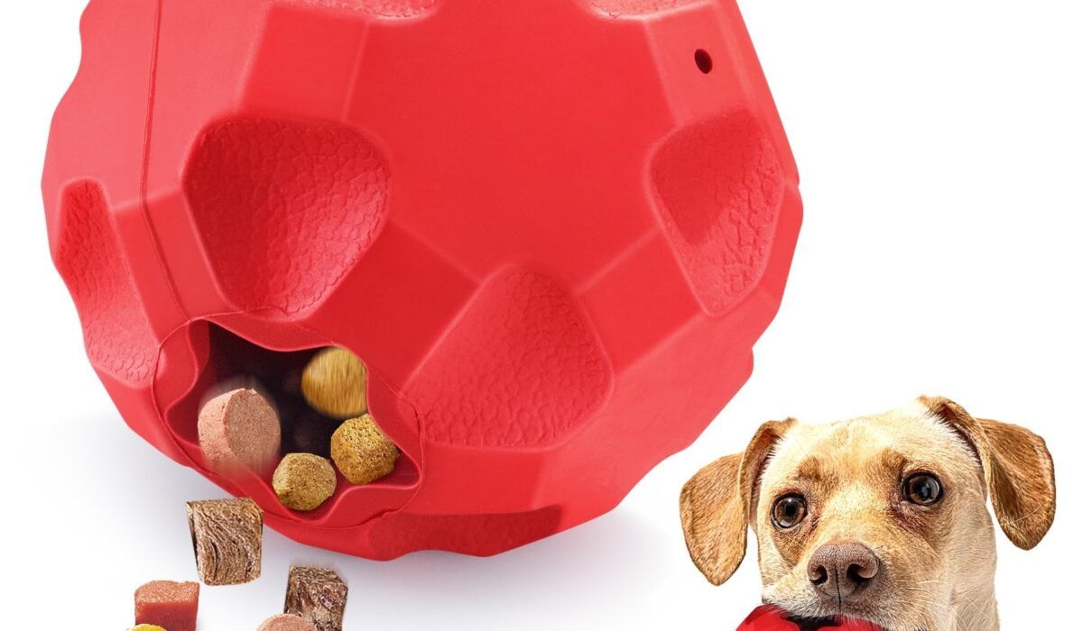 Treat Dispensing Toys