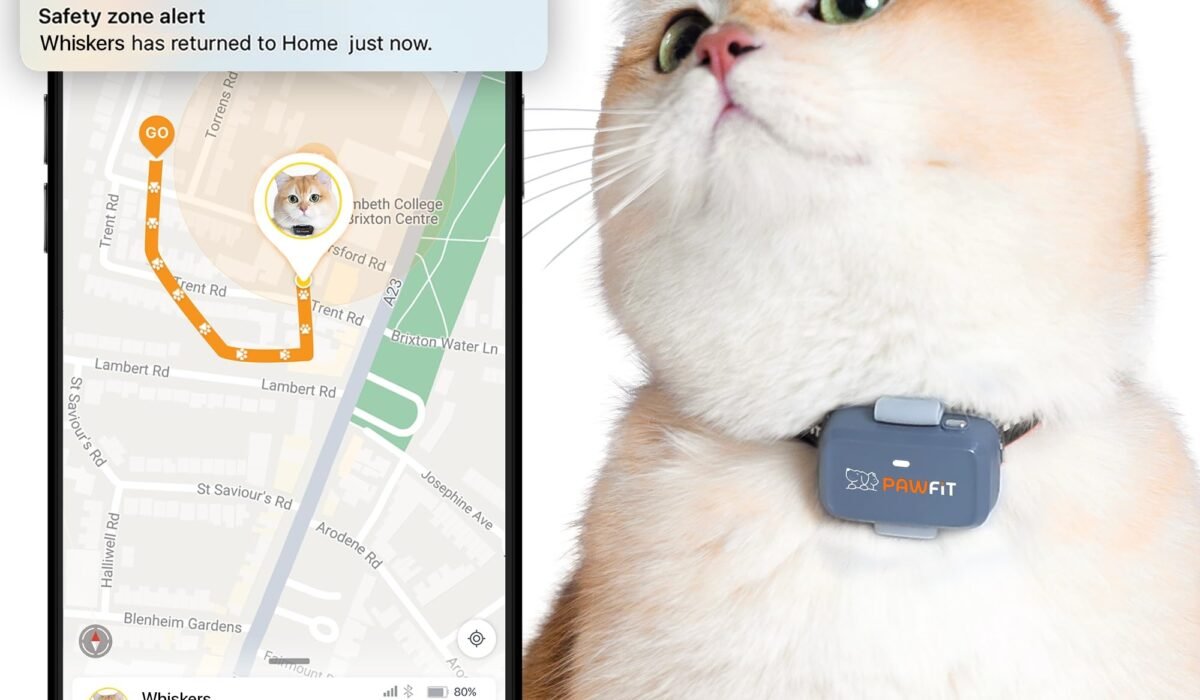 cat GPS tracker