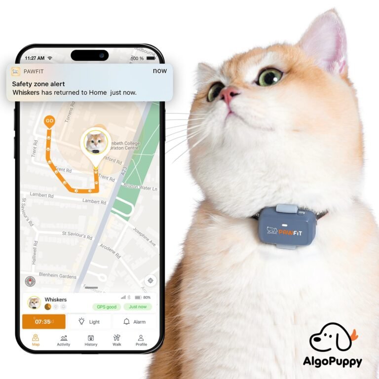 cat GPS tracker