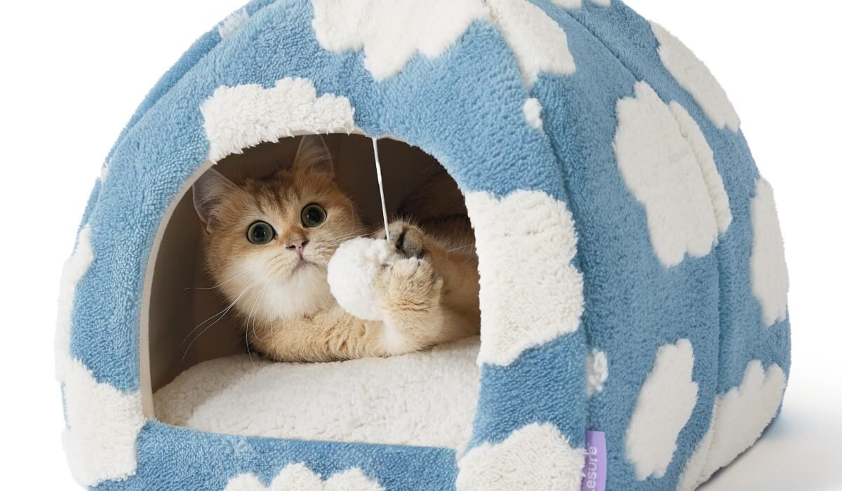 cat cave bed