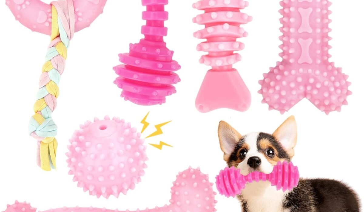 chew toys for teething puppies