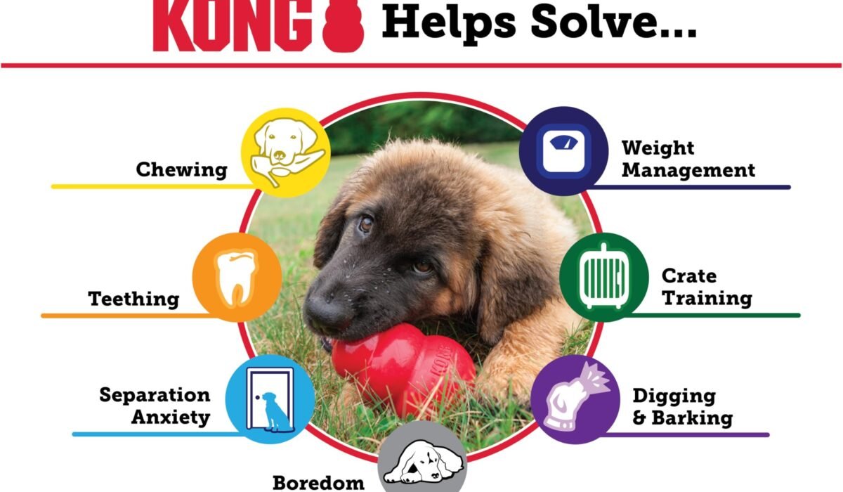 durable chew toys for heavy chewers