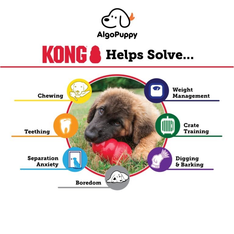 durable chew toys for heavy chewers