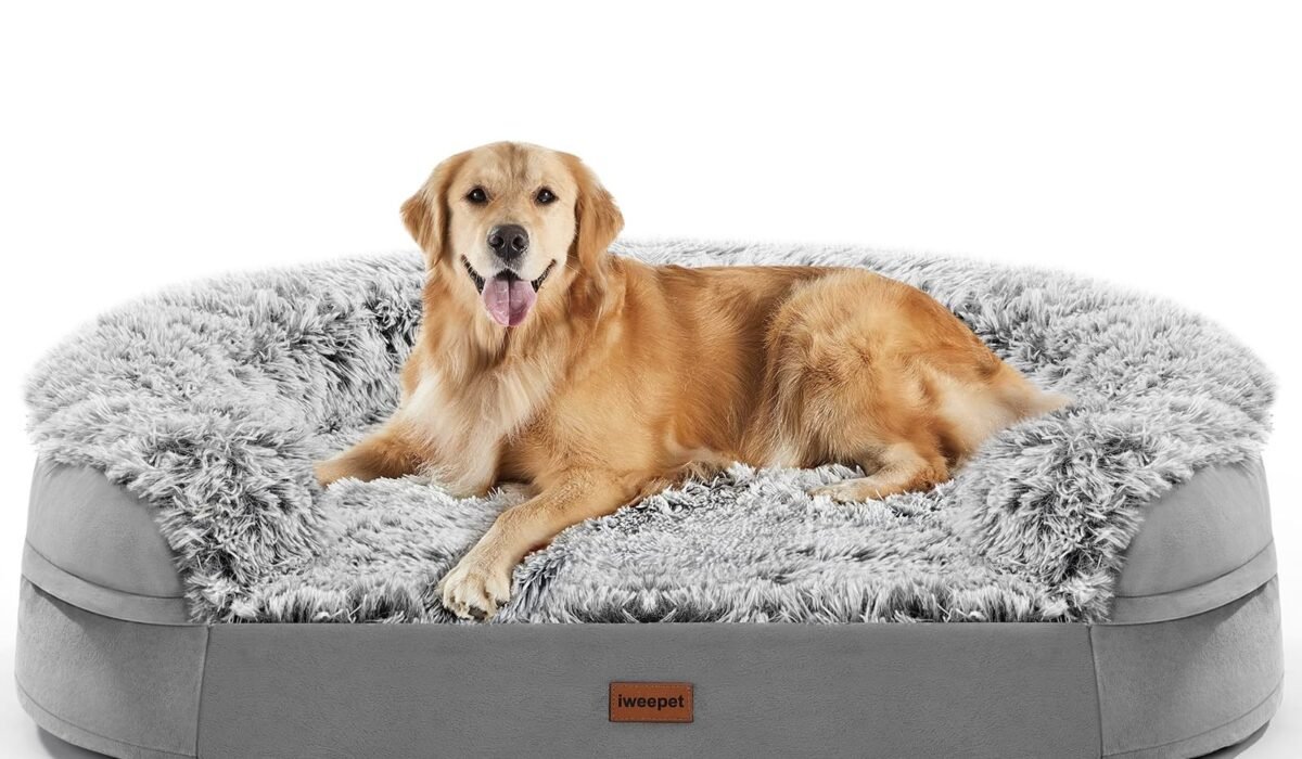large dog beds