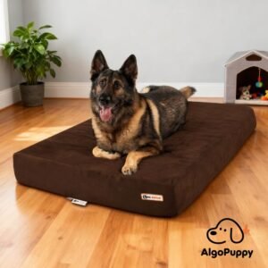 orthopedic dog beds