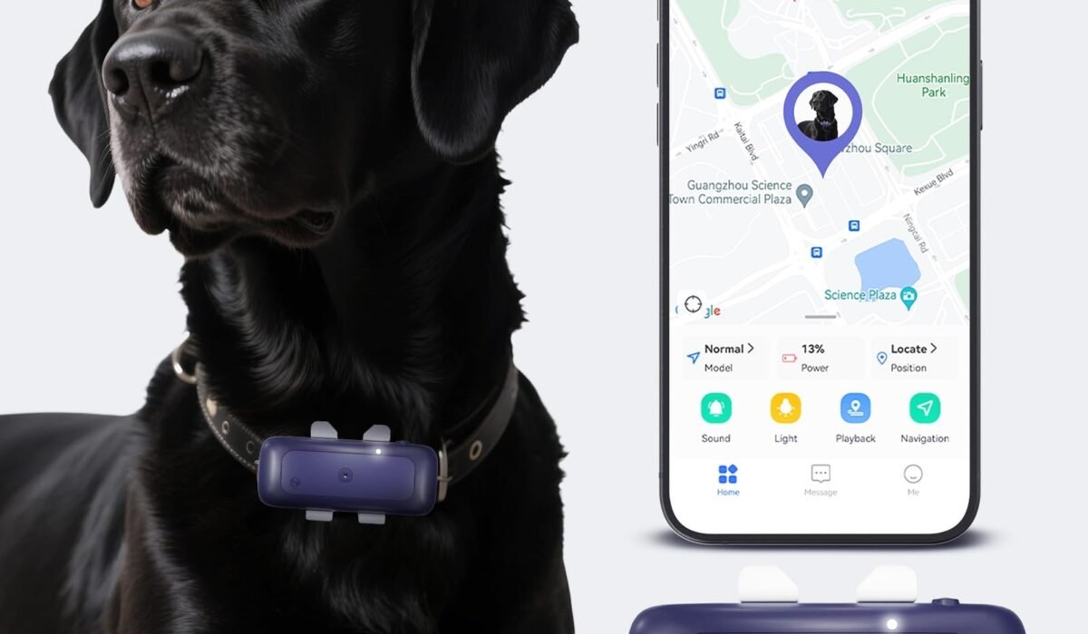 pet GPS collar