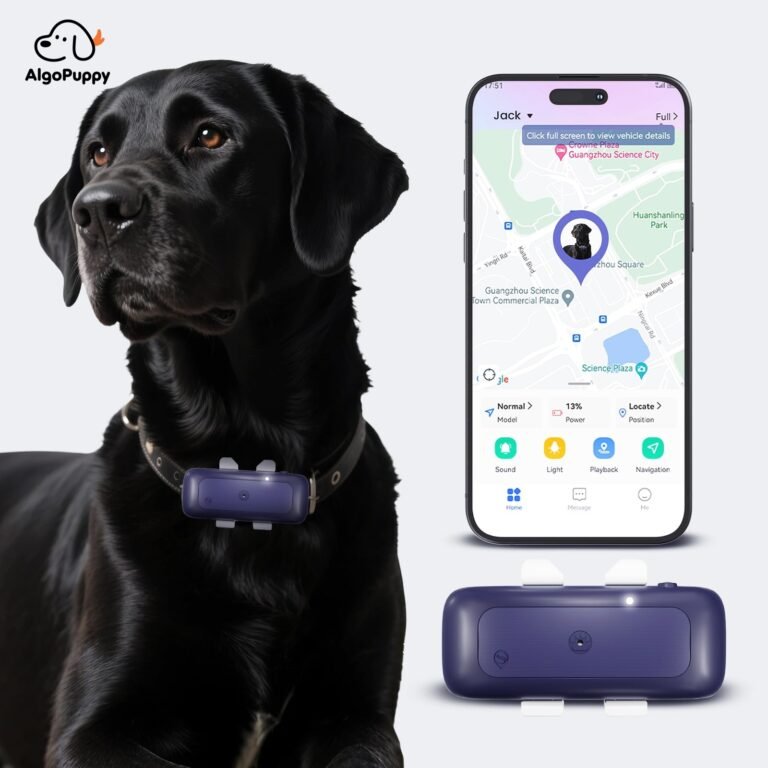 pet GPS collar