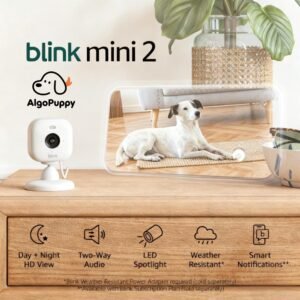 pet camera for home security
