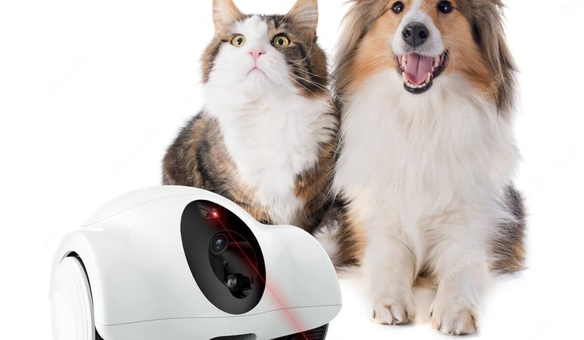 pet companion robot