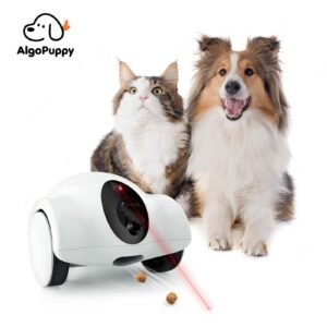 pet companion robot