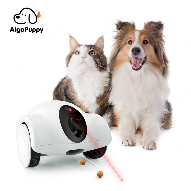 pet companion robot