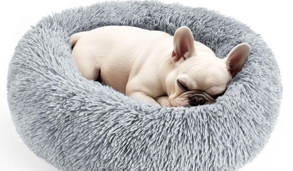 small dog beds