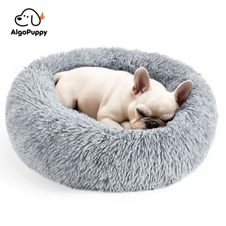 small dog beds