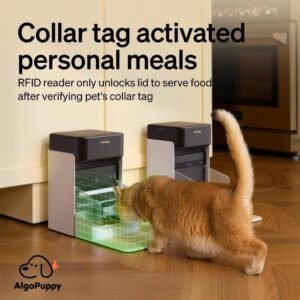smart pet feeder