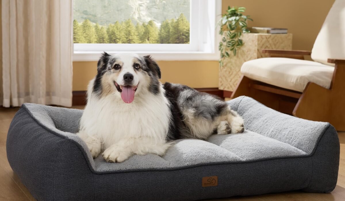 washable dog bed