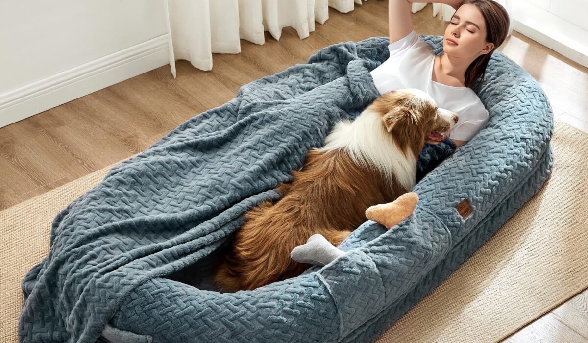 luxury pet beds
