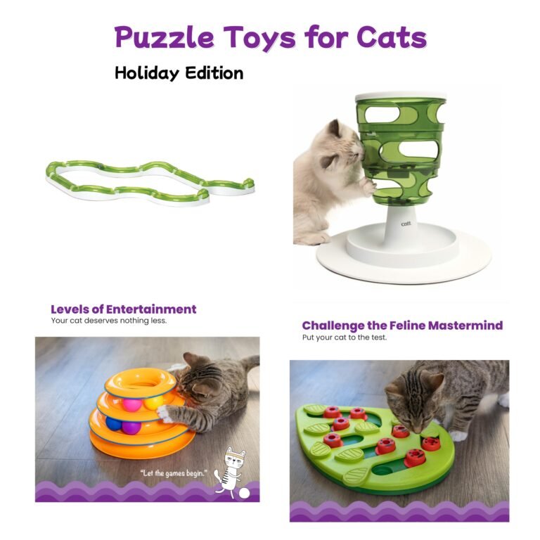 puzzle toys for cats